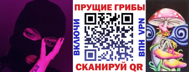 Псилоцибиновые грибы Cubensis  сколько стоит  Починок 